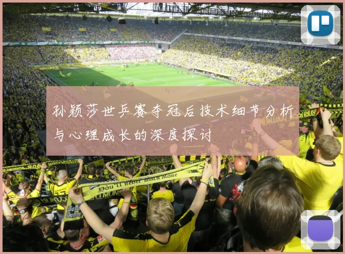 孙颖莎世乒赛夺冠后技术细节分析与心理成长的深度探讨