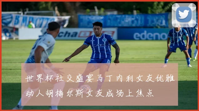世界杯社交盛宴马丁内利女友优雅动人胡梅尔斯女友成场上焦点