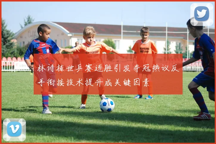 林诗栋世乒赛连胜引发夺冠热议反手衔接技术提升成关键因素
